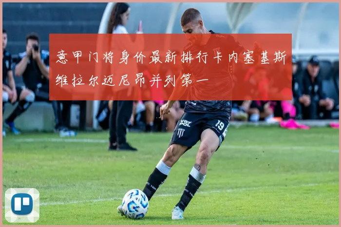 意甲门将身价最新排行卡内塞基斯维拉尔迈尼昂并列第一
